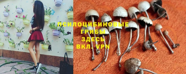 гидропоника Абдулино