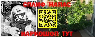 СК Краснознаменск
