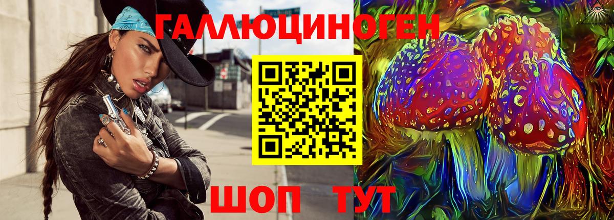 Галлюциногенные грибы прущие грибы  Вход с VPN  Галлюциногенные грибы прущие грибы  Магадан 